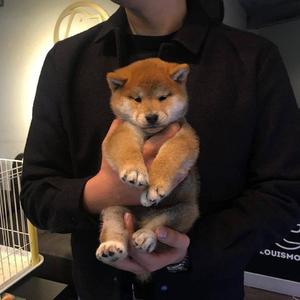 英国美女裸体同性自慰
