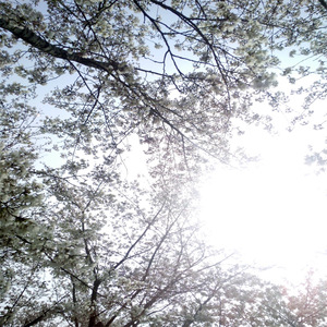 英国美女裸体同性自慰
